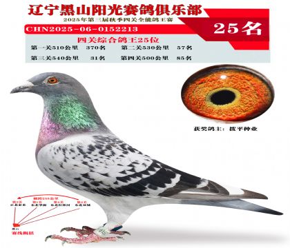 四关综合鸽王25位