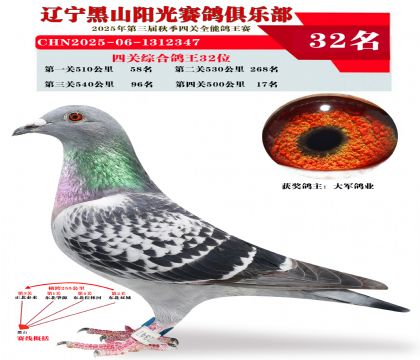 四关综合鸽王32位