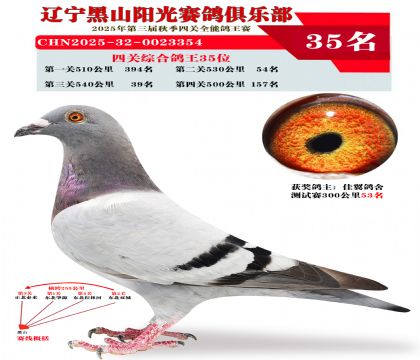 四关综合鸽王35位