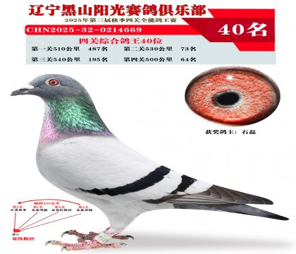 四关综合鸽王40位