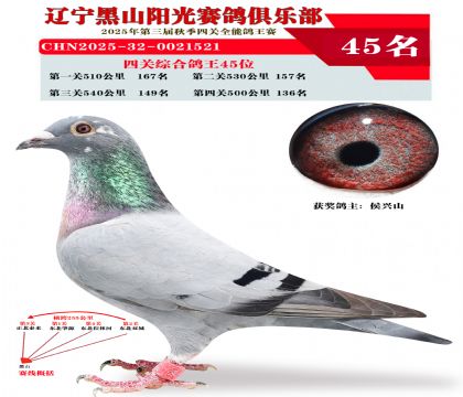 四关综合鸽王45位