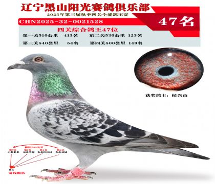 四关综合鸽王47位