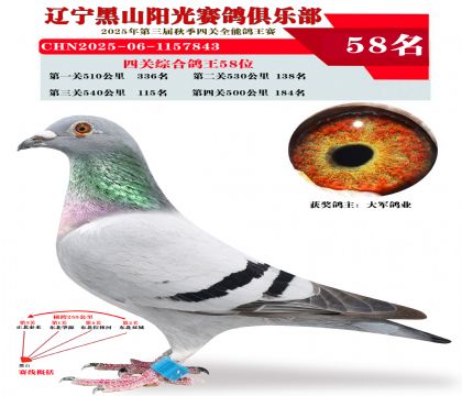 四关综合鸽王58位