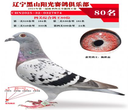 四关综合鸽王80位