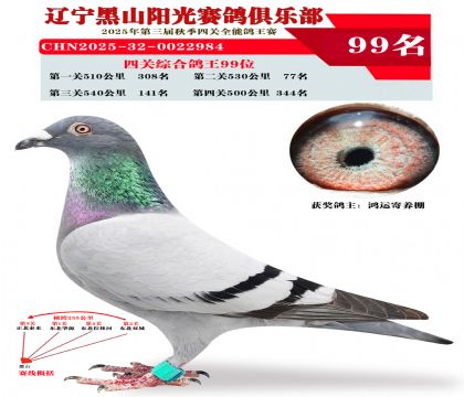 四关综合鸽王99位