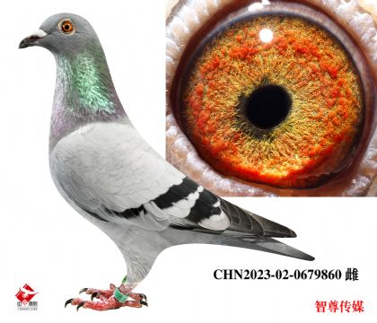 30010ֱŮ