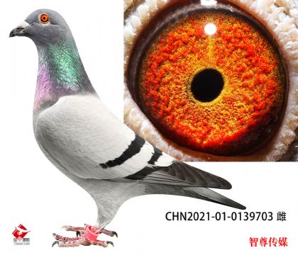 994Ѫ