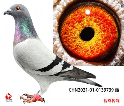 698Ѫ