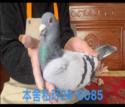 ͷϯά˹ؽ׻Ѫ