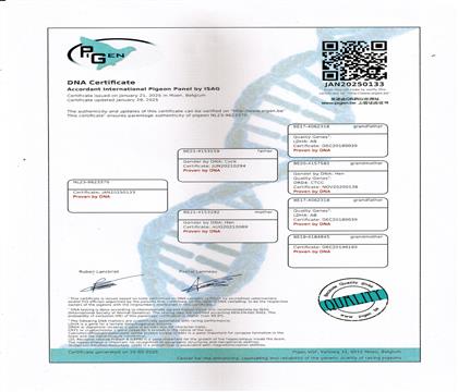 DNA