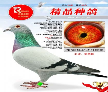 ޵ֱŮ