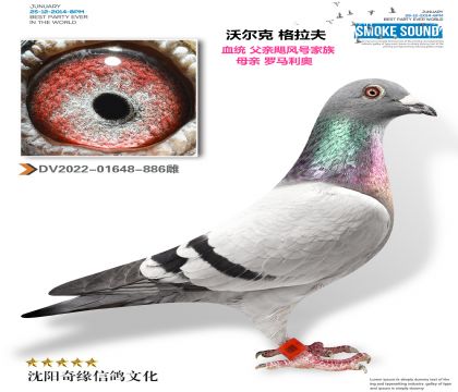 쫷ż壨¹ԭᣩ