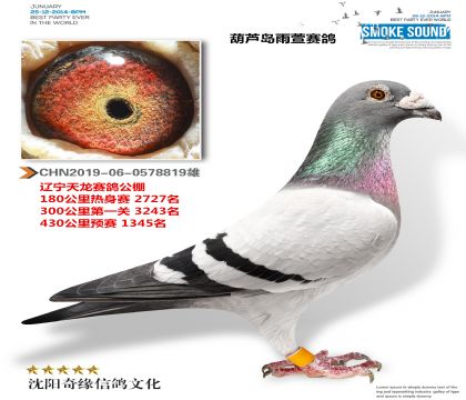 «루룩