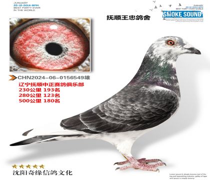 سɼ룩