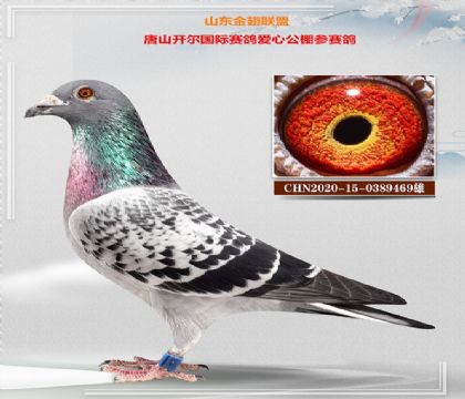 ɽˣĹ룩