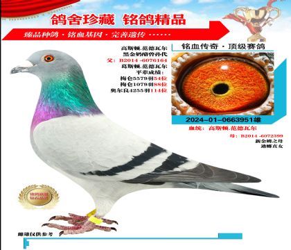 ˹.߶ԭ   ڽ 951