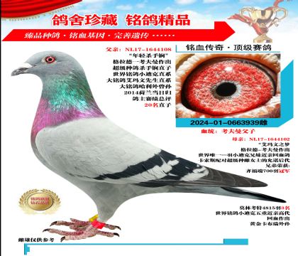 ԭ ӡ  939