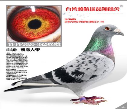 Ѫͳۺ15λ