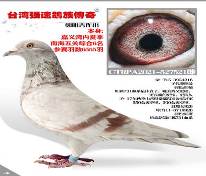 ̨ǿٸ崫Ϻۺ6λ