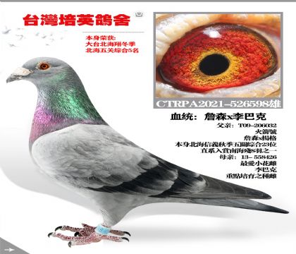 Ѫͳ ղɭXͿ