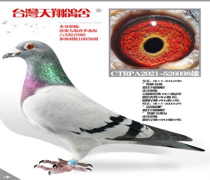 ̨ۺ9λ
