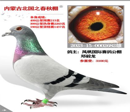 緫֣ѡ ֮