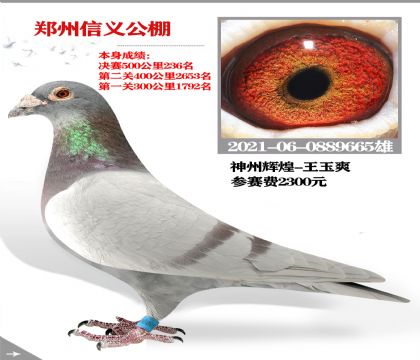 ݻԻˬѡ֣幫
