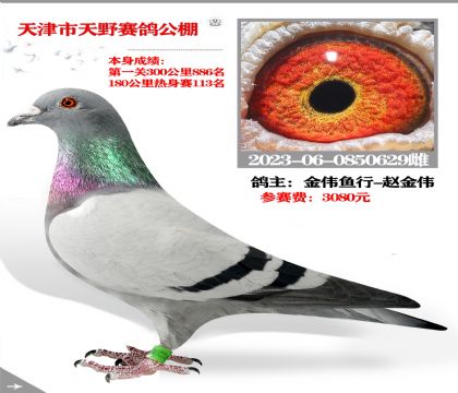  ΰԽΰѡҰ