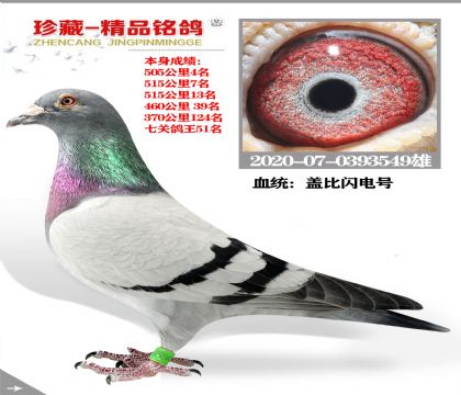 Ѫͳ Ǳ5054