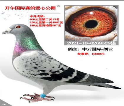 ƹ-ѡͿ40013