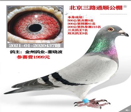 ޸ҵ-