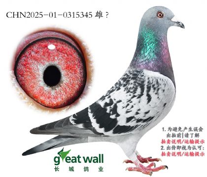 1.xվ328.0315345