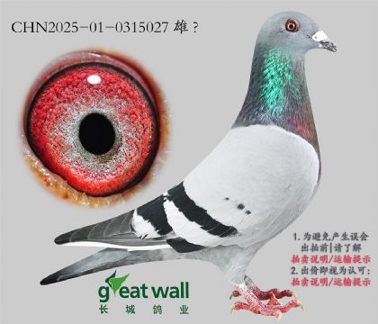 4.126Ӵ.0315027