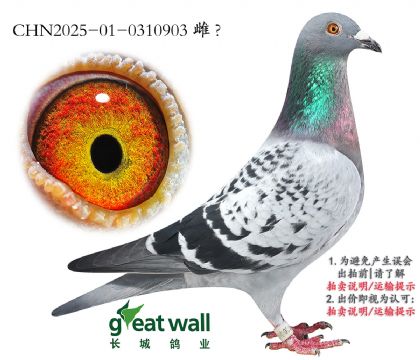 5.Ǿ67Ӵ.0310903