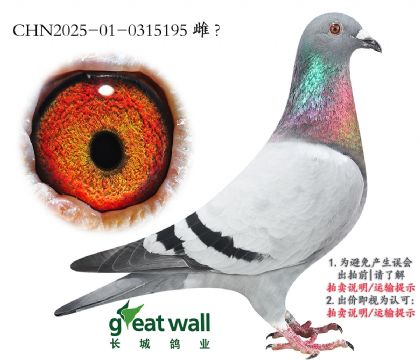 6.ȫ9λӴ.0315195