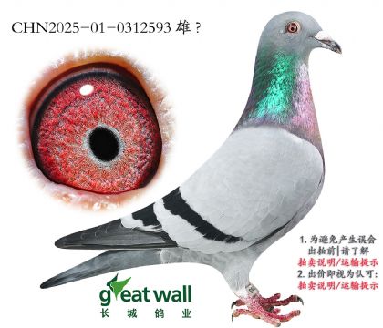 9.Ǿƽ.0312593