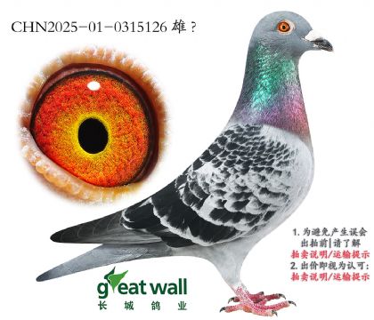 10.¿.0315126
