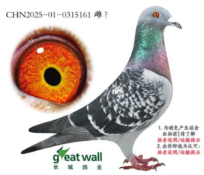 11.۹ھ.0315161