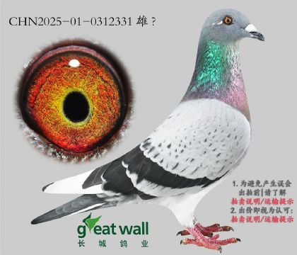 14.Үɪ.0312331