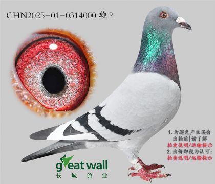 15.³һ.0314000
