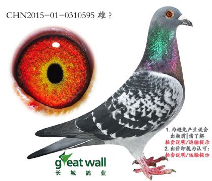 16.ҫ.0310595
