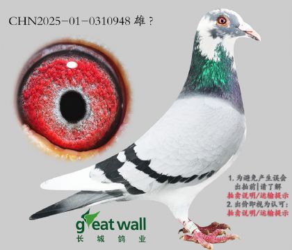 18.ղ˹801.0310948
