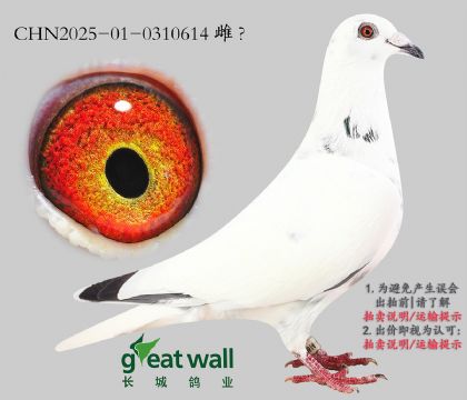 19.ͼ˹003.0310614