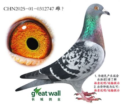 20.ͼ˹Ѫ.0312747