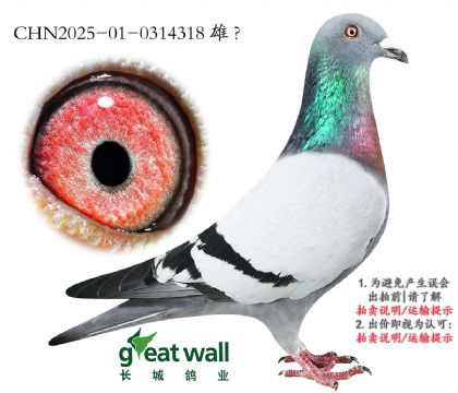 3.19Ӵ.0314318