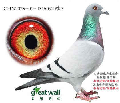 4.渣׵.0315092
