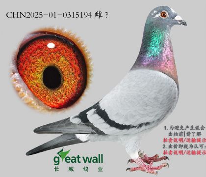 5.ȫ9λӴ.0315194