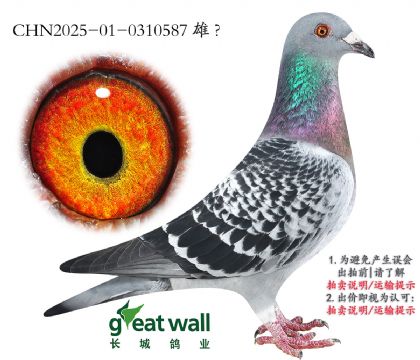 6.ʱx.0310587