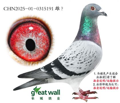 8.ڳϸھ.0315191