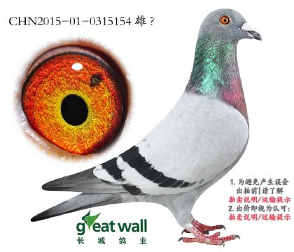 9.ضx.0315154